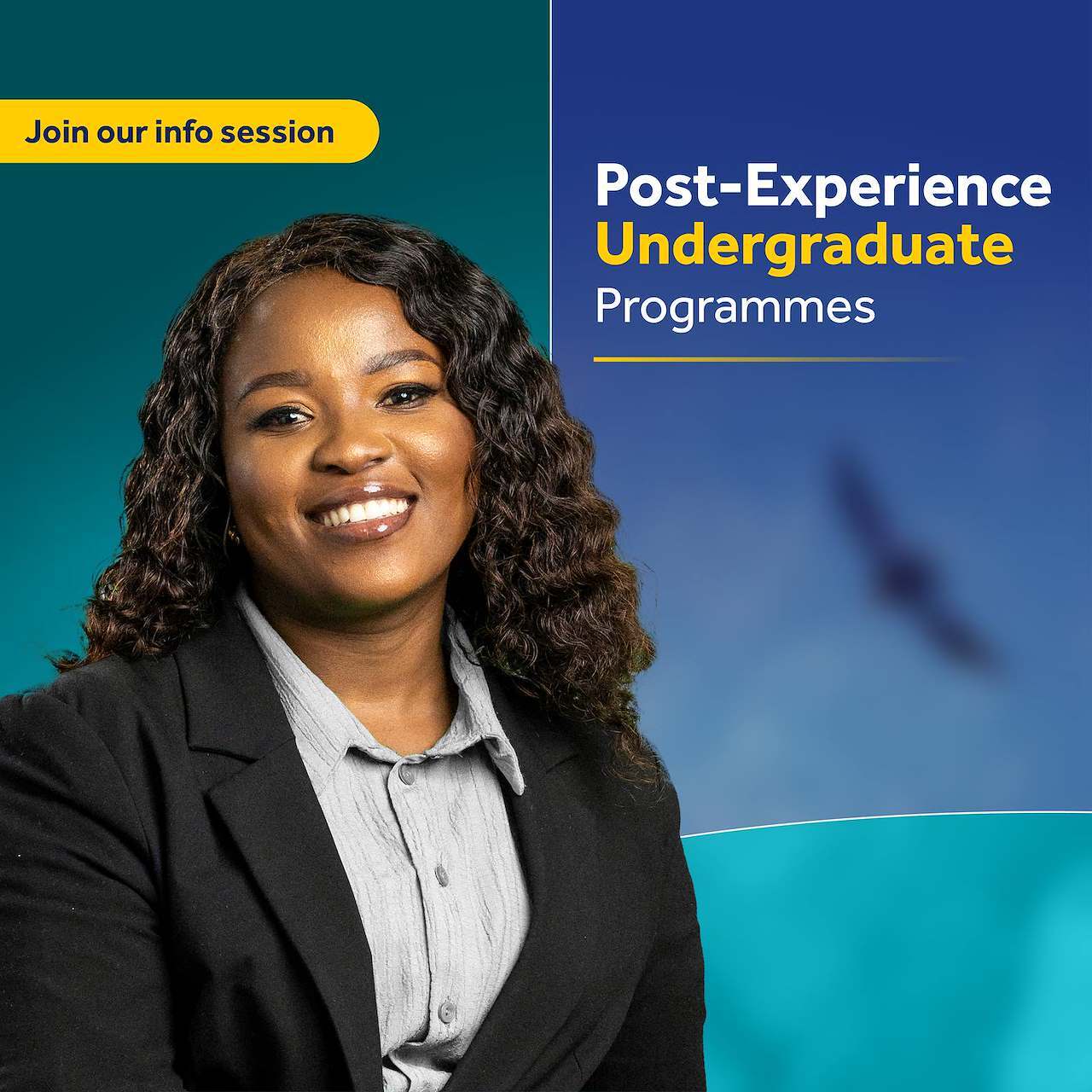 Post-Experience Undergraduate Info Session